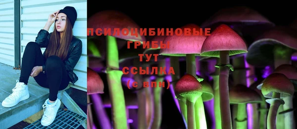 скорость mdpv Белокуриха